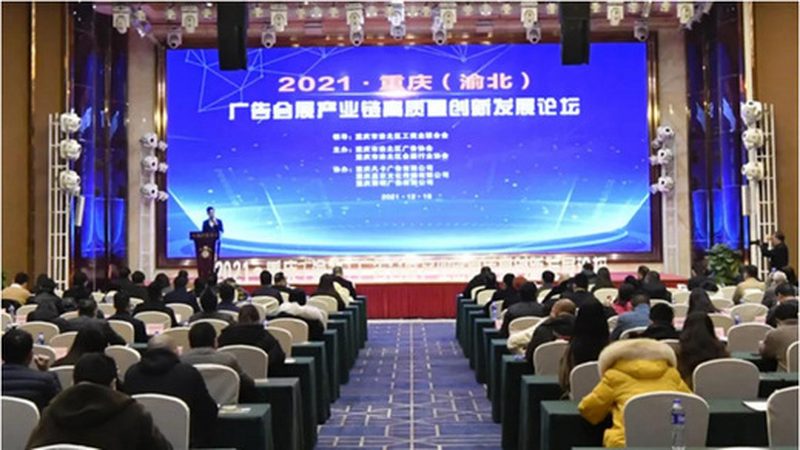 案例分享：专业团队的成功之道