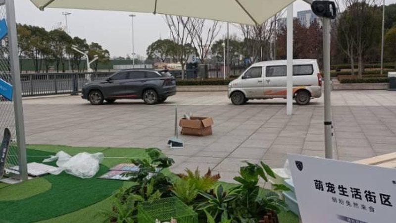 医院logo设计：规范要求与设计要点解析